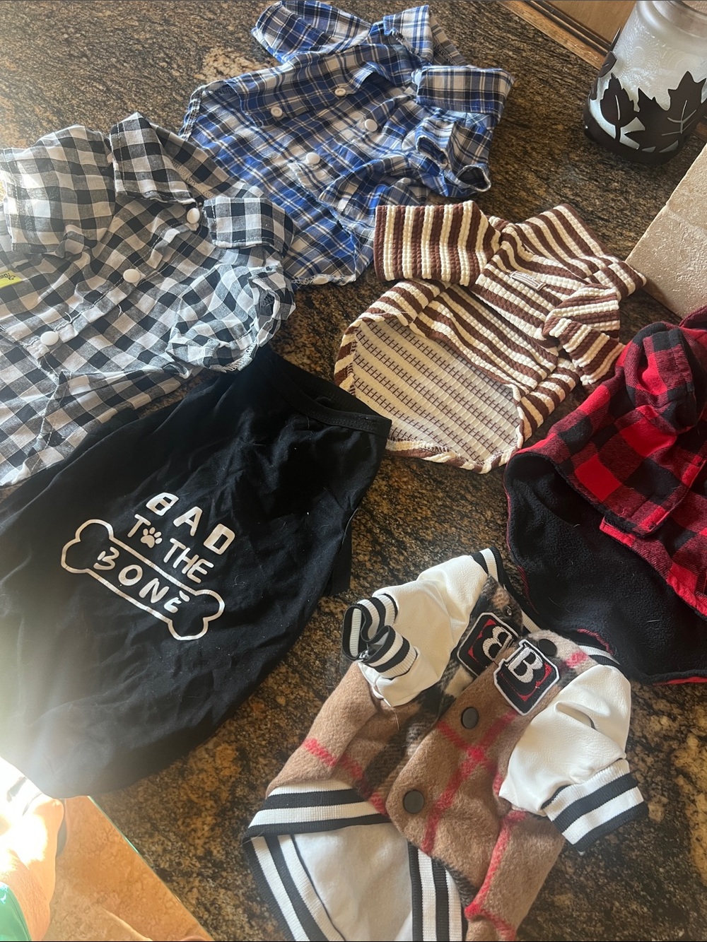 Doggy clothes
